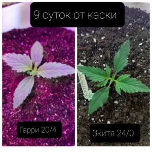 20220405_093227.jpg 20220405_093227.jpg