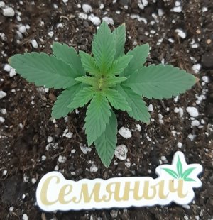 20230910_125609.jpg 20230910_125609.jpg