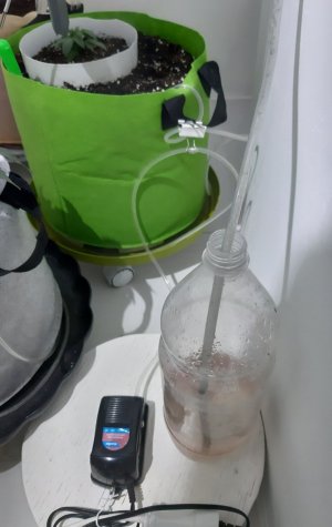 20230910_132148.jpg 20230910_132148.jpg