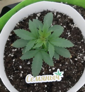 20230911_210450.jpg 20230911_210450.jpg