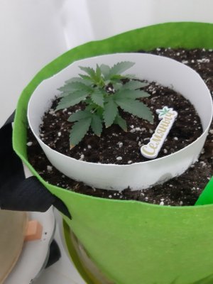 20230911_210409.jpg 20230911_210409.jpg