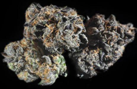 1694437905525.png 1694437905525.png