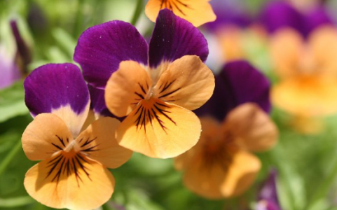 1694437943325.png 1694437943325.png