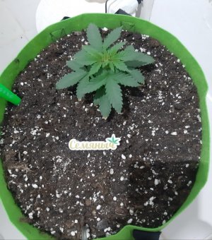 20230911_210915.jpg 20230911_210915.jpg