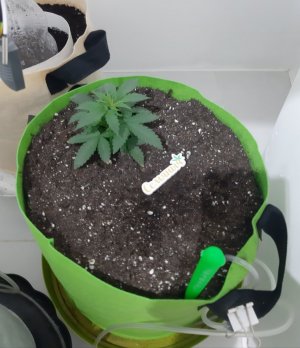 20230911_212026.jpg 20230911_212026.jpg