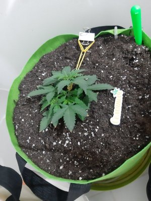 20230911_213008.jpg 20230911_213008.jpg