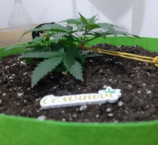 20230911_214146.jpg 20230911_214146.jpg