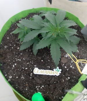 20230912_202822.jpg 20230912_202822.jpg