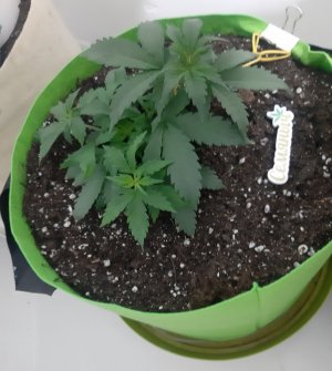 20230912_202658.jpg 20230912_202658.jpg