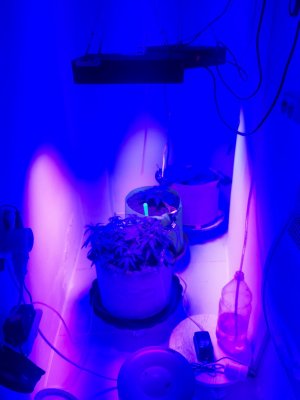 20230912_202742.jpg 20230912_202742.jpg