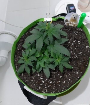 20230912_213430.jpg 20230912_213430.jpg