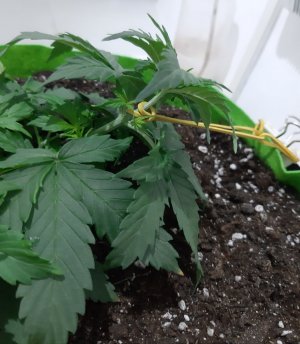 20230912_213355.jpg 20230912_213355.jpg