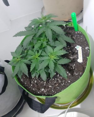 20230913_194356.jpg 20230913_194356.jpg