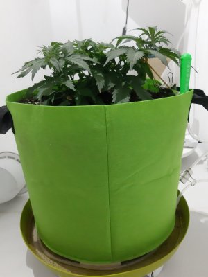 20230913_200811.jpg 20230913_200811.jpg