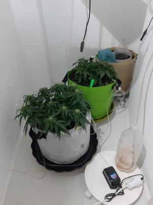 20230913_200709.jpg 20230913_200709.jpg