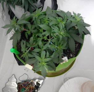 20230913_202709.jpg 20230913_202709.jpg