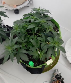 20230913_202637.jpg 20230913_202637.jpg