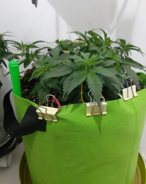 20230913_202618.jpg 20230913_202618.jpg