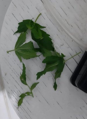 20230617_173128.jpg 20230617_173128.jpg