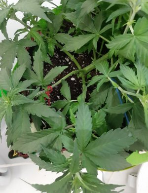 20230914_193216.jpg 20230914_193216.jpg