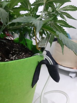 20230914_193144.jpg 20230914_193144.jpg