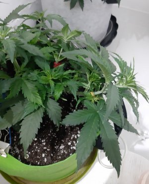 20230914_193127.jpg 20230914_193127.jpg