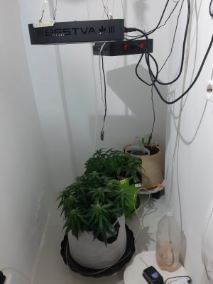 20230914_193042.jpg 20230914_193042.jpg