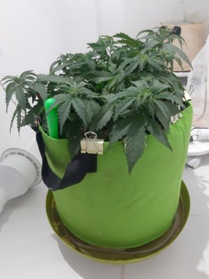 20230914_210446.jpg 20230914_210446.jpg