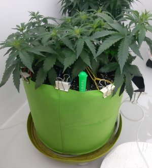 20230914_211613.jpg 20230914_211613.jpg