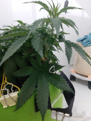 20230914_212000.jpg 20230914_212000.jpg