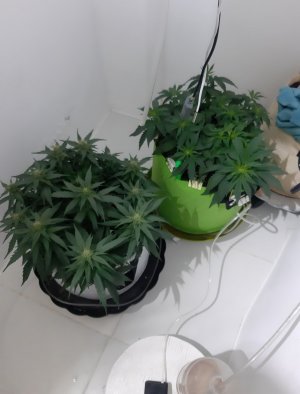 20230914_211853.jpg 20230914_211853.jpg