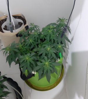 20230915_171611.jpg 20230915_171611.jpg