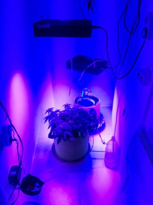 20230915_180535.jpg 20230915_180535.jpg