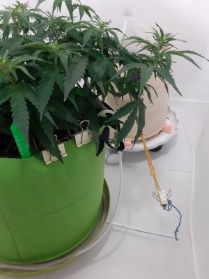 20230915_181926.jpg 20230915_181926.jpg