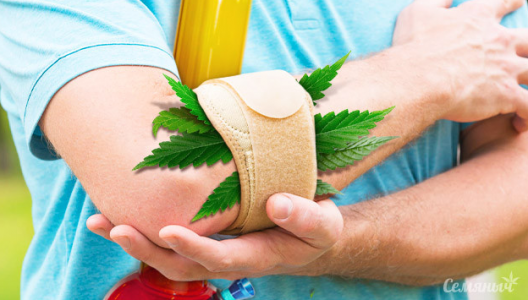 1694773633689.png 1694773633689.png