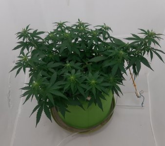 20230916_103845.jpg 20230916_103845.jpg