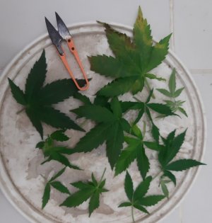 20230916_103655.jpg 20230916_103655.jpg