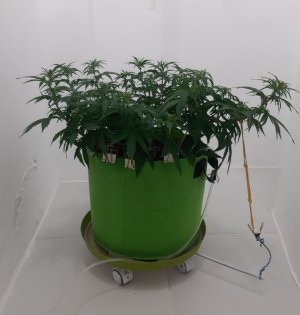 20230916_103548.jpg 20230916_103548.jpg