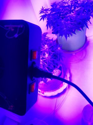 20230916_103427.jpg 20230916_103427.jpg