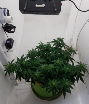 20230916_122719.jpg 20230916_122719.jpg