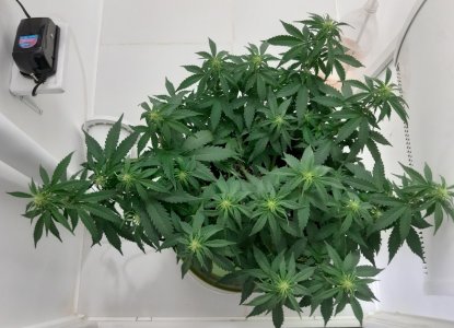 20230916_122646.jpg 20230916_122646.jpg