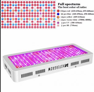 IMG_2750.jpeg IMG_2750.jpeg