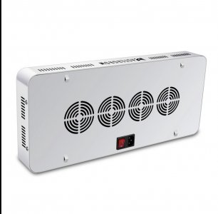 IMG_2752.jpeg IMG_2752.jpeg