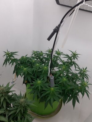 20230916_211508.jpg 20230916_211508.jpg