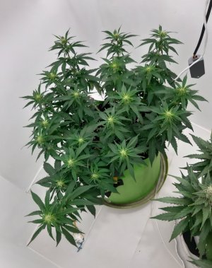 20230916_211452.jpg 20230916_211452.jpg