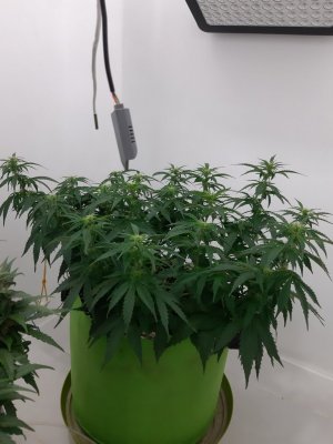 20230916_211330.jpg 20230916_211330.jpg