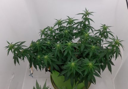 20230916_211419.jpg 20230916_211419.jpg