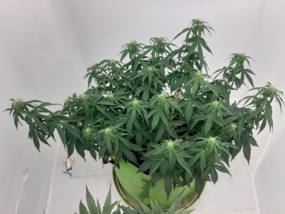 20230916_211318.jpg 20230916_211318.jpg