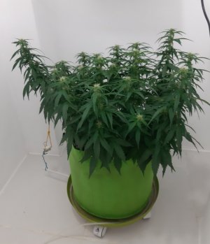 20230916_210838.jpg 20230916_210838.jpg