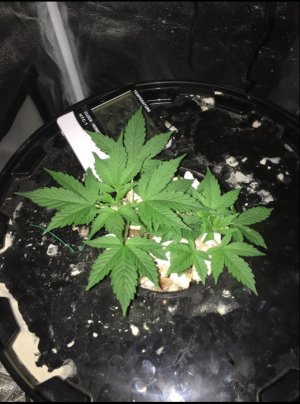 D588F895-EE99-4251-8984-88718E0CF63B.jpeg D588F895-EE99-4251-8984-88718E0CF63B.jpeg